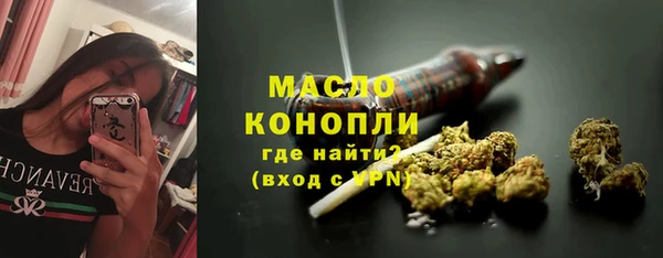 дмт Богородск