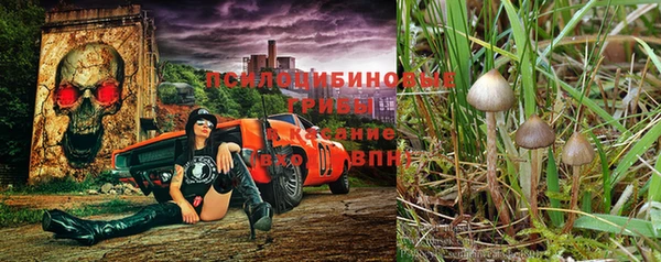 прущие крисы Богородицк