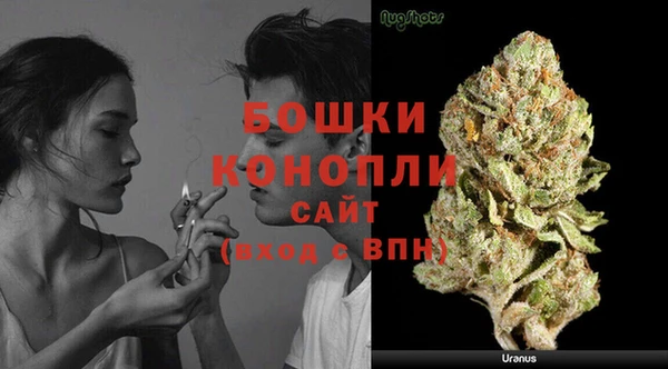 a pvp Богданович