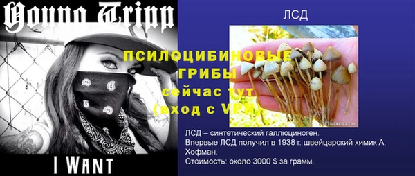 прущие крисы Богородицк