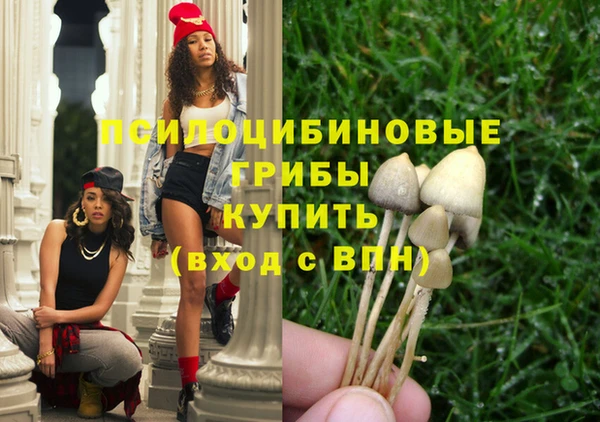 ALPHA-PVP Бугульма