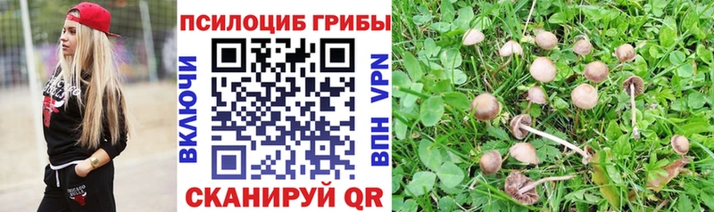 Галлюциногенные грибы MAGIC MUSHROOMS  kraken рабочий сайт  Боровичи 